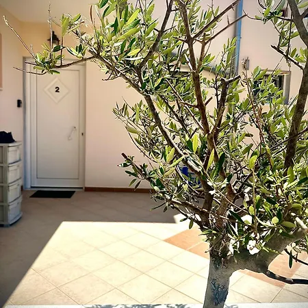 Porto Nuovo 2 לימנאס